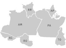 Norte