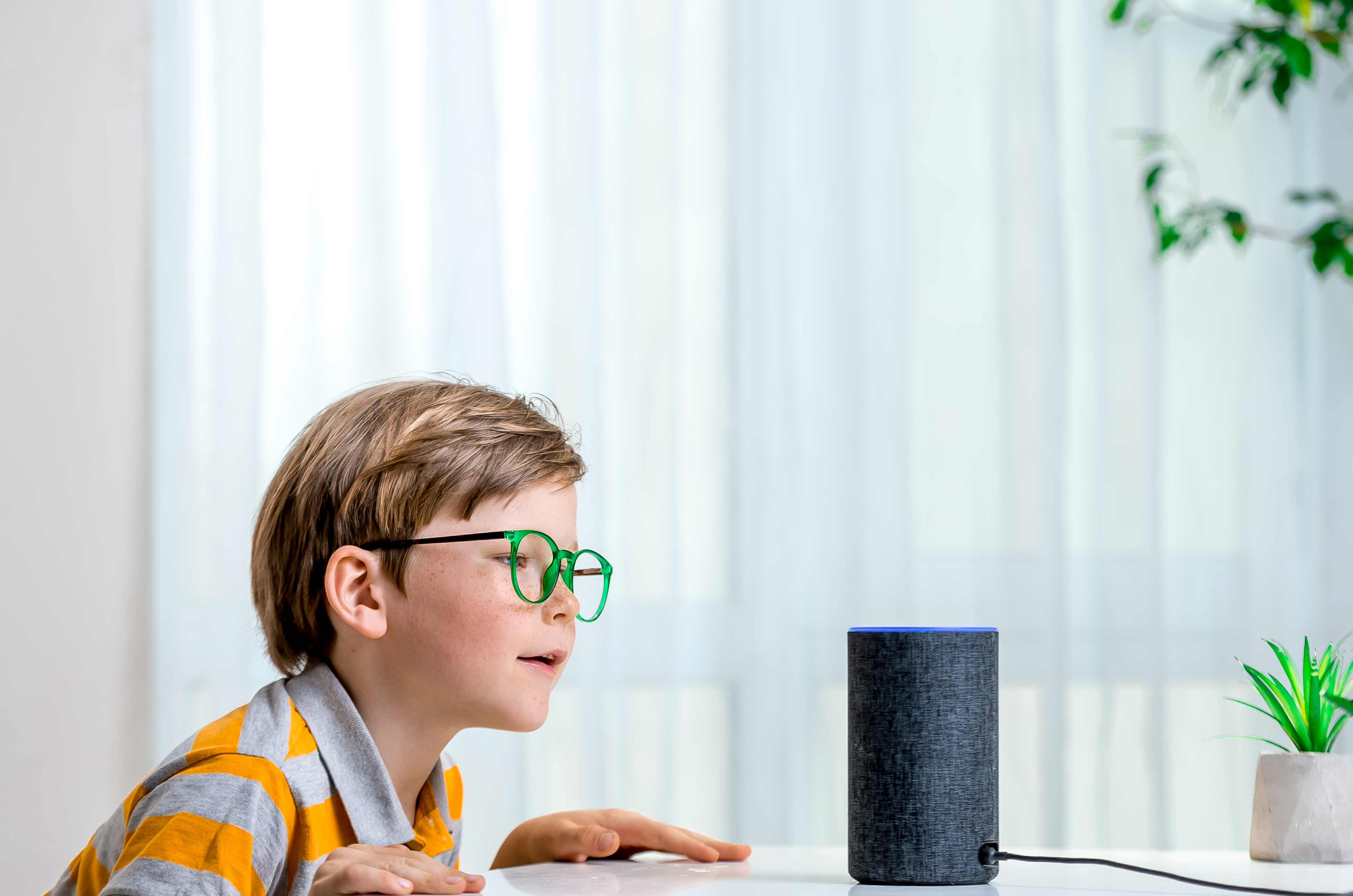 Como desligar  Echo e Alexa - Blog dos speakers inteligentes