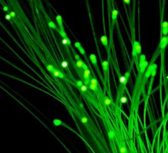  Imagem de iluminação de fibras óticas verdes em um fundo escuro, destacando a tecnologia da internet Oi Fibra 1 giga