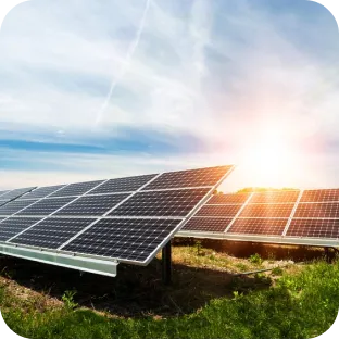 A Oi investe em eficiência energética. Painéis de energia solar.